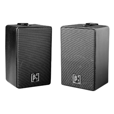BS Series PA Speaker