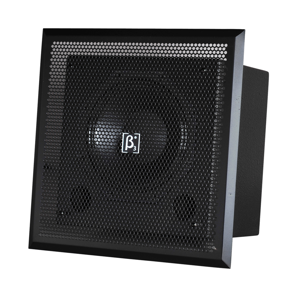 CSR10T 10" Two-way full range speaker