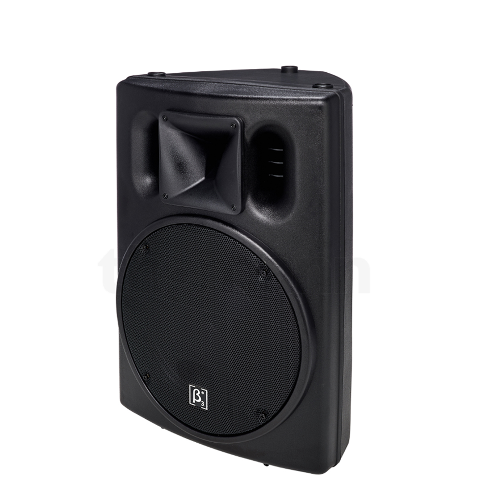 CTM1000B 10" Two-way Full Range Active Speaker