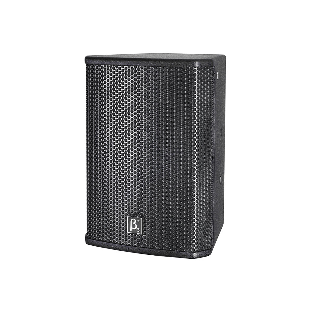 MU10 10" Two Way Full Range Speaker