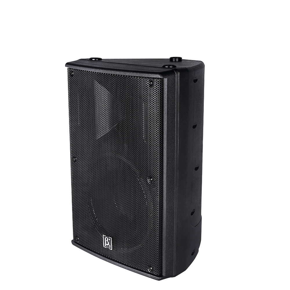 N10a 10" Two Way Full Range Active Plastic Speaker